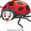 Image result for Cricket Insect Vector