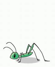 Image result for Grasshopper Animation