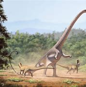 Image result for Barosaurus Dinosaur