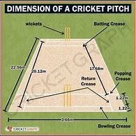 Image result for Samoan Cricket Field Dimensions