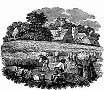 Image result for Daily Life in Colonial Rhode Island