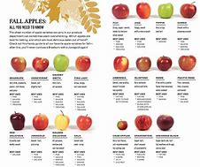 Image result for Dark Red Tart Apples