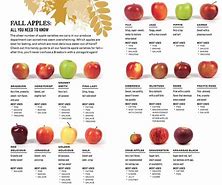Image result for Types of Red Apples