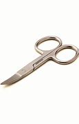 Image result for Curved Nail Scissors