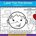 Image result for Free Five Senses Worksheet