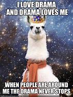 Image result for Drama Llama Meme