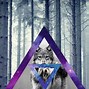Image result for Blue Galaxy Wolves