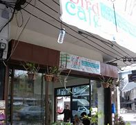 Image result for Free Bird Cafe Chiang Mai