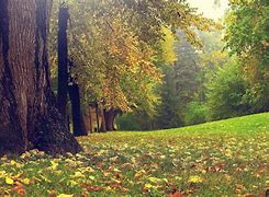 Image result for Nature ICHD