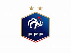 Image result for French Soccer Team Logo