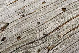 Image result for Weathered Wood Texture