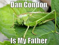 Image result for Condon Meme