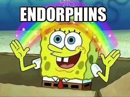 Image result for Endorphins Expanding Meme