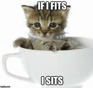 Image result for Cat Tea Meme