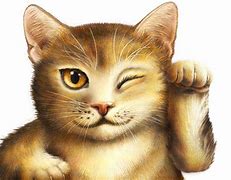 Image result for Winking Cat