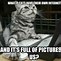 Image result for Funny Cat Faces with Quotes