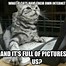 Image result for Where Cat Meme