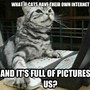 Image result for Memes Clean Cute