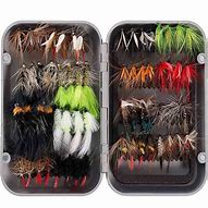 Image result for Fly Fishing Flies Kit