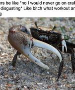Image result for Crab Meme