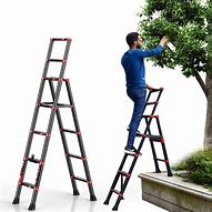 Image result for Extendable Step Ladder