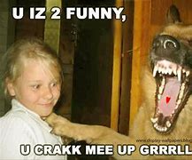 Image result for Most Funny