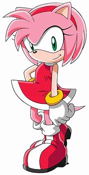 Image result for A Picture of Amy Rose