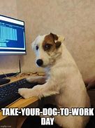 Image result for Back to Work After Holiday Weekend Dog Meme