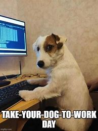 Image result for Dog Work Meme