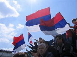 Image result for Serbian Flag Planted in Ground