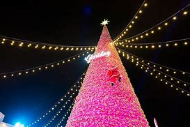 Image result for Taoyuan City Christmas Tree