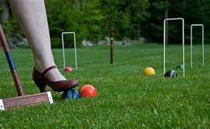 Image result for Croquet Wickets