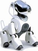 Image result for Japanese Robot Dog