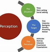 Image result for Perception and Memory