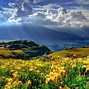 Image result for ipad wallpapers nature