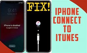 Image result for iTunes Download for iPhone 11