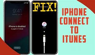 Image result for Connect iPhone 11 to iTunes