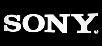 Image result for Sony Rec/IM Logo