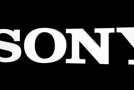 Image result for NTV Sony Logo