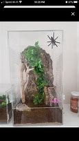 Image result for Arboreal Tarantula Cage