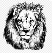 Image result for Black and White Lion Canvas Drawing