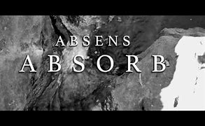 Image result for absofber