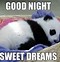 Image result for Wholesome Goodnight Memes