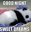 Image result for Good Night Sleep Well Meme