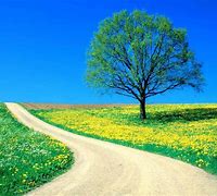 Image result for iPad Wallpaper Nature Spring