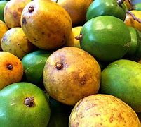 Image result for Tropical Apple's