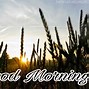 Image result for Good Morning Sunshine Nature