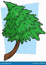 Image result for Fir Tree Cartoon