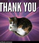 Image result for Why Thank You Meme Funny