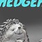 Image result for Hedgehog Pet